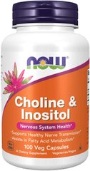 Холин и инозитол Choline Inositol Now Foods 500 мг 100 капсул